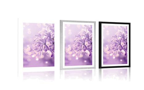 POSTER MIT PASSEPARTOUT LILA FLIEDERBLÜTE - BLUMEN - POSTER