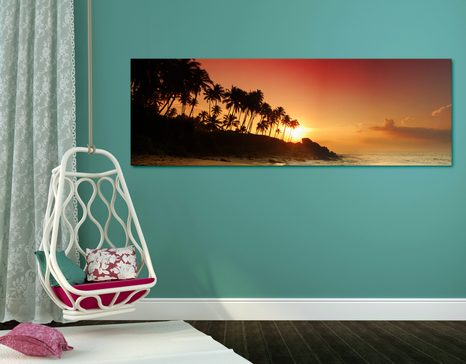 ΕΙΚΌΝΑ ΗΛΙΟΒΑΣΊΛΕΜΑ ΣΤΗ ΣΡΙ ΛΆΝΚΑ - ΠΊΝΑΚΕΣ ΦΎΣΗΣ ΚΑΙ ΤΟΠΊΟΥ - ΠΊΝΑΚΕΣ