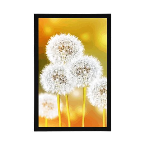 PLAGÁT NADÝCHANÁ PÚPAVA - KVETY - PLAGÁTY