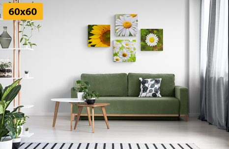 SET DI QUADRI – FIORI DI CAMPO - COLLEZIONI DI QUADRI - STAMPE E QUADRI