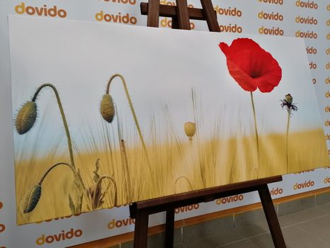 ΕΙΚΌΝΑ ΆΓΡΙΑΣ ΠΑΠΑΡΟΎΝΑΣ - ΠΊΝΑΚΕΣ ΑΠΌ ΛΟΥΛΟΎΔΙΑ - ΠΊΝΑΚΕΣ