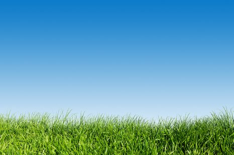 SAMOLEPÍCÍ TAPETA OBLOHA NAD LOUKOU - SAMOLEPÍCÍ TAPETY - TAPETY