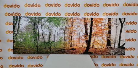 CANVAS PRINT FOUR SEASONS - PICTURES - 🔥 TOTAL SALE 🔥