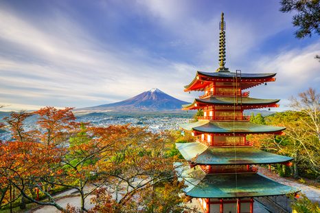 CARTA DA PARATI – VISTA SULLA PAGODA CHUREITO E MONTE FUJI - CARTA DA PARATI NATURA - CARTA DA PARATI