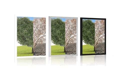 PLAKÁT STROM VE DVOU PODOBÁCH - PŘÍRODA - PLAKÁTY
