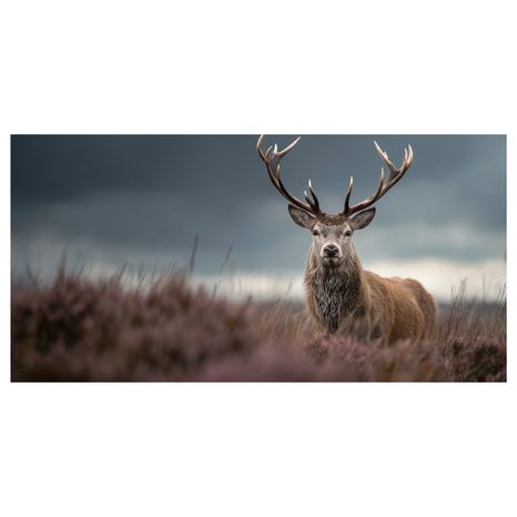 OBRAZ ZIMNÍ POHÁDKA S JELENEM - OBRAZY JELENI - OBRAZY