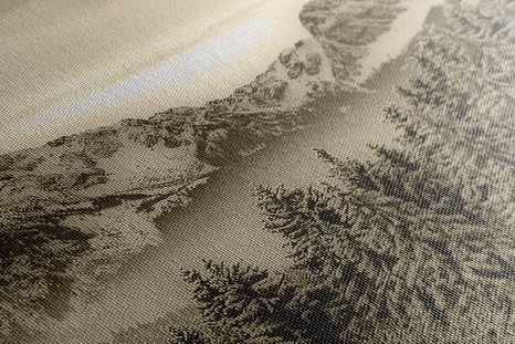 OBRAZ ZAMRZLÉ HORY V SÉPIOVÉM PROVEDENÍ - ČERNOBÍLÉ OBRAZY - OBRAZY