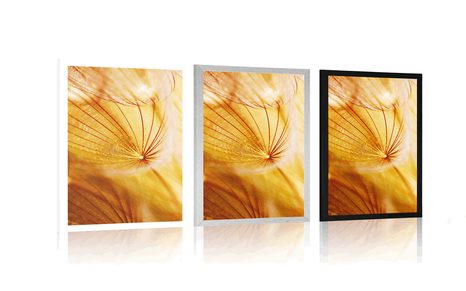 POSZTER PITYPANG CSODÁS KIVITELBEN - VIRÁGMINTÁS - POSZTEREK