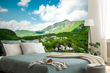 CARTA DA PARATI – VALLE IN MONTENEGRO - CARTA DA PARATI NATURA - CARTA DA PARATI