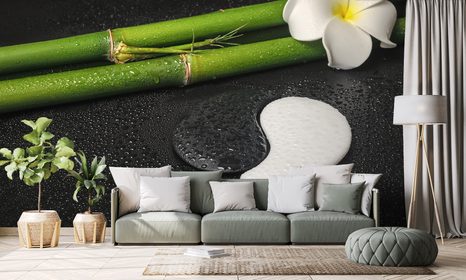 CARTA DA PARATI – NATURA MORTA CON SIMBOLO YIN E YANG - CARTA DA PARATI FENG SHUI - CARTA DA PARATI