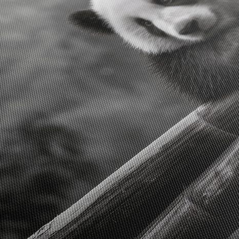 WANDBILD RUHIGER PANDA IN DER NATUR - BILDER TIERE - BILDER