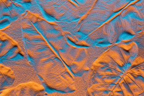 TABLOU TEXTURĂ A FRUNZELOR PE PLAJĂ NISIPOASĂ - TABLOU NATURĂ ȘI PEISAJE NATURALE - TABLOURI