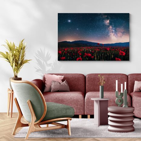 TABLOU LUNCĂ DE MACI SĂLBATICI SUB STELE - DOVIDO CHALLENGE - TABLOURI