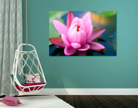 WANDBILD SCHÖNE ROSA BLUME AUF DEM SEE - BILDER BLUMEN - BILDER