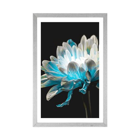 POSTER – MARGHERITA SU SFONDO NERO - FIORI - POSTER