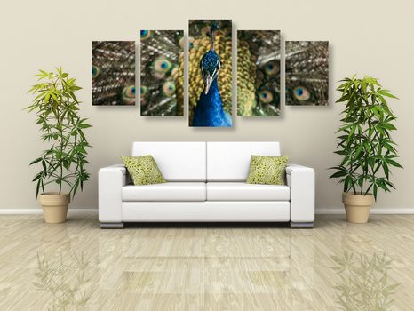 5 RÉSZES KÉP PÁVA SZÉPSÉGE - ÁLLATMINTÁS KÉPEK - KÉPEK