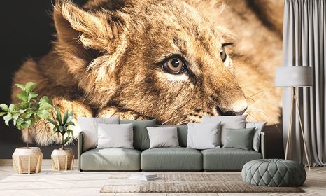 FOTOTAPETE LÖWENJUNGE - TAPETEN MIT TIERMOTIVEN - TAPETEN
