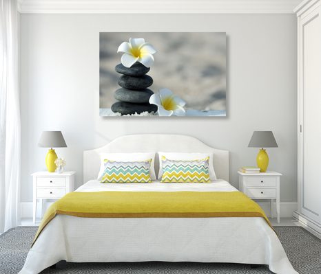 ΕΙΚΌΝΑ ΑΠΌ ΑΡΜΟΝΙΚΈΣ ΠΈΤΡΕΣ ΚΑΙ ΛΟΥΛΟΎΔΙ PLUMERIA - ΠΊΝΑΚΕΣ ΦΕΝΓΚ ΣΟΎΙ - ΠΊΝΑΚΕΣ