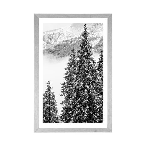 POSTER WITH MOUNT SNOWY PINE TREES IN BLACK AND WHITE - BLACK AND WHITE - POSTERS