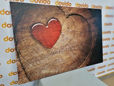 CANVAS PRINT HEART ON A STUMP - PICTURES OF NATURE AND LANDSCAPE - PICTURES