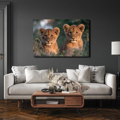 WANDBILD LÖWENJUNGE IN DER WILDNIS - BILDER VON LÖWEN UND TIGERN - BILDER