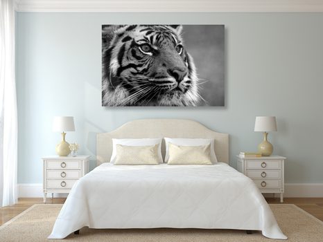 WANDBILD BENGAL-TIGER IN SCHWARZ-WEISS - SCHWARZ-WEISSE BILDER - BILDER