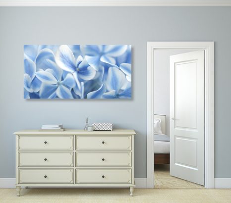OBRAZ MODRO-BÍLÉ KVĚTY HORTENZIE - OBRAZY KVĚTŮ - OBRAZY
