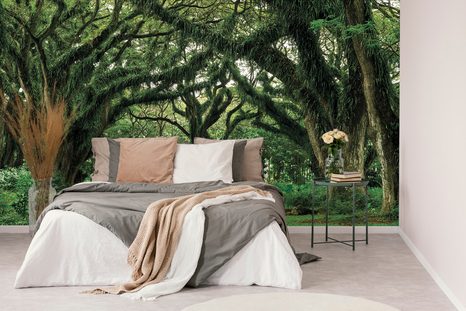 FOTOTAPETE VON BÄUMEN UMGEBENER WEG - TAPETEN MIT NATURMOTIVEN - TAPETEN