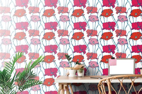 TAPETA KVETOUCÍ MÁKY - TAPETY KVĚTINY - TAPETY