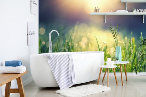 TAPETA ROSA NA LOUCE - TAPETY PŘÍRODA - TAPETY