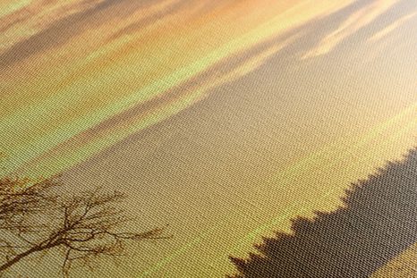 OBRAZ OSAMĚLÉHO STROMU - OBRAZY PŘÍRODY A KRAJINY - OBRAZY