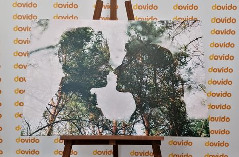 OBRAZ PODOBA LÁSKY - OBRAZY LÁSKA - OBRAZY