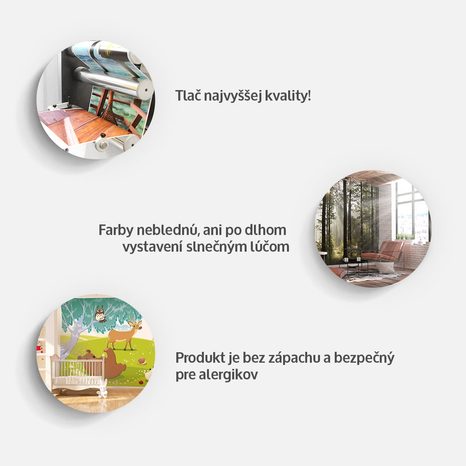 SAMOLEPIACA TAPETA MAJESTÁTNY LEV - ABSTRACT LION - TAPETY - 🔥 TOTÁLNY VÝPREDAJ