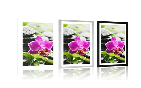 POSTER – NATURA MORTA WELLNESS CON ORCHIDEA VIOLA - FENG SHUI - POSTER