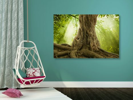 SLIKA KROŠNJA DREVESA - SLIKE NARAVE IN POKRAJINE - SLIKE