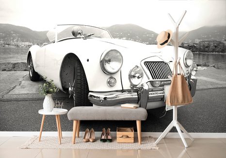 SAMOLEPÍCÍ FOTOTAPETA LUXUSNÍ ČERNOBÍLÝ VETERÁN - SAMOLEPÍCÍ TAPETY - TAPETY