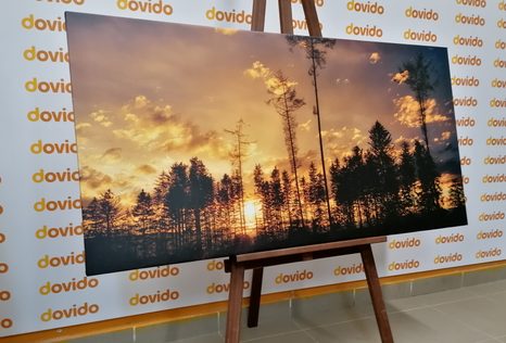 КАРТИНА НА ПЛАТНО – ПРИВЕЧЕР В ГОРАТА - КАРТИНИ НА ПРИРОДАТА И ПЕЙЗАЖИ - КАРТИНИ