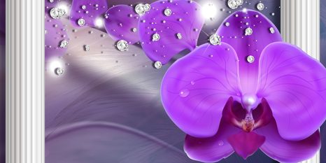 ΕΙΚΌΝΑ ΟΡΧΙΔΈΑΣ ΣΕ ΕΛΛΗΝΙΚΈΣ ΣΤΉΛΕΣ - ΠΊΝΑΚΕΣ ΑΠΌ ΛΟΥΛΟΎΔΙΑ - ΠΊΝΑΚΕΣ