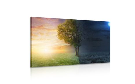 КАРТИНА НА ПЛАТНО – ДЕН И НОЩ - КАРТИНИ НА ПРИРОДАТА И ПЕЙЗАЖИ - КАРТИНИ