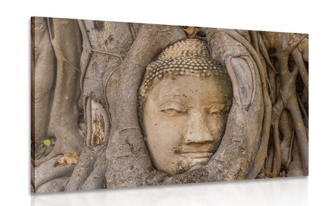 QUADRO SACRO ALBERO DI FICHI DI BUDDHA - QUADRI FENG SHUI - QUADRI