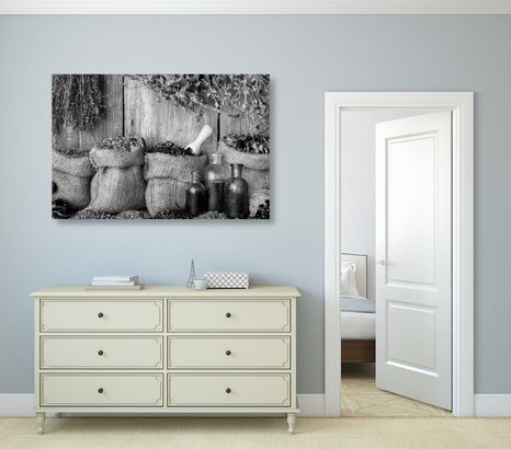 TABLOU PLANTE MEDICINALE ÎN DESIGN ALB-NEGRU - TABLOURI ALB-NEGRU - TABLOURI