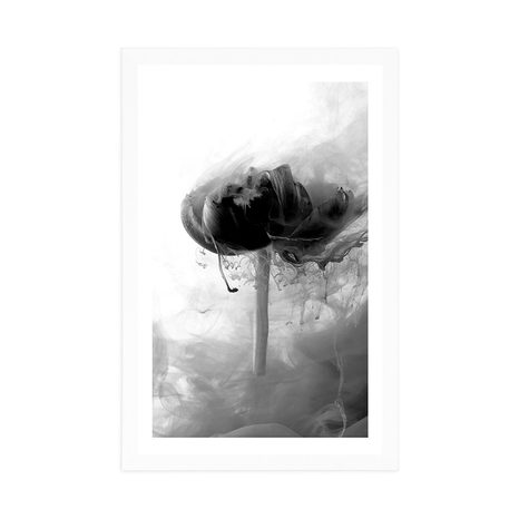 AFFICHE – FLEUR INTÉRESSANTE EN NOIR ET BLANC - NOIR ET BLANC - AFFICHES