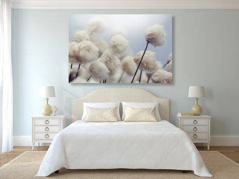 SLIKA ARKTIČNI CVETOVI BOMBAŽA - SLIKE ROŽ - SLIKE