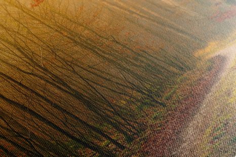 КАРТИНА НА ПЛАТНО – ПЪТЕЧКА КЪМ ГОРАТА - КАРТИНИ НА ПРИРОДАТА И ПЕЙЗАЖИ - КАРТИНИ