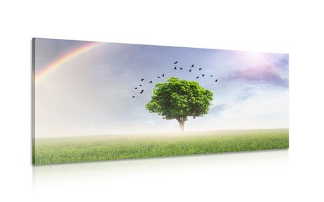 CANVAS PRINT LONELY TREE ON THE MEADOW - PICTURES OF NATURE AND LANDSCAPE - PICTURES