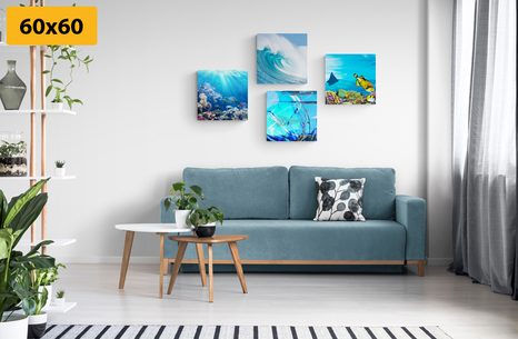 BILDER-SET LEBEN UNTER WASSER - BILDERSETS - BILDER