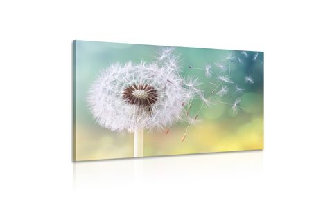 TABLOU PĂPĂDIE MAGICĂ - TABLOU FLORI - TABLOURI