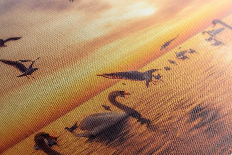 WANDBILD SCHWÄNE AUF DEM MEER - BILDER TIERE - BILDER