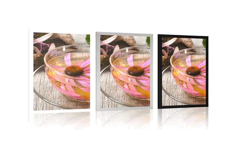 POSTER – TAZZA DI TÈ ALLE ERBE - ANCORA VITA - POSTER