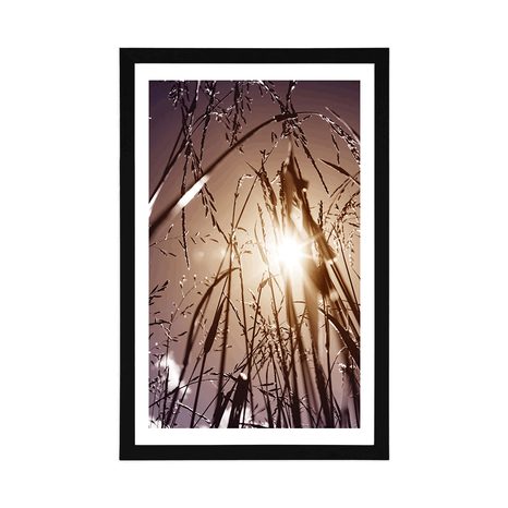 POSTER MIT PASSEPARTOUT FELDGRAS - NATUR - POSTER